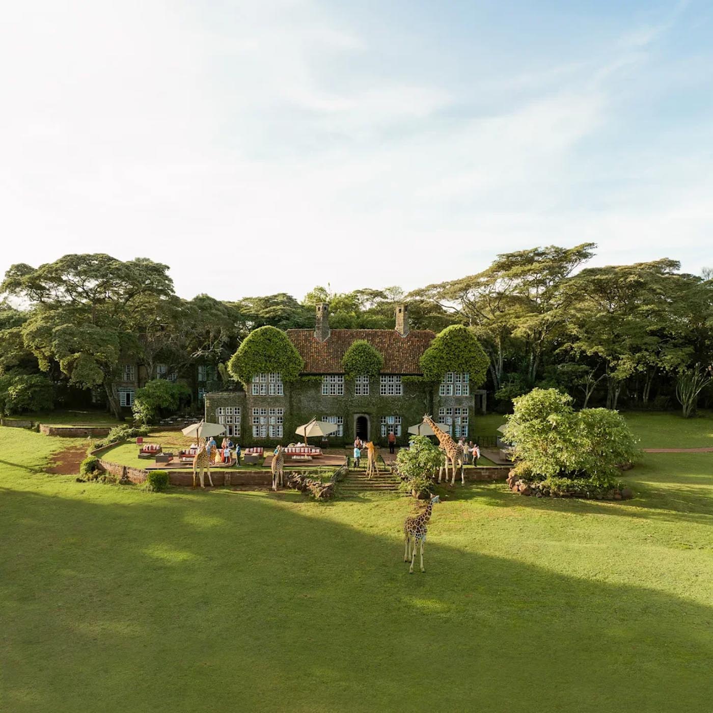 Giraffe Manor