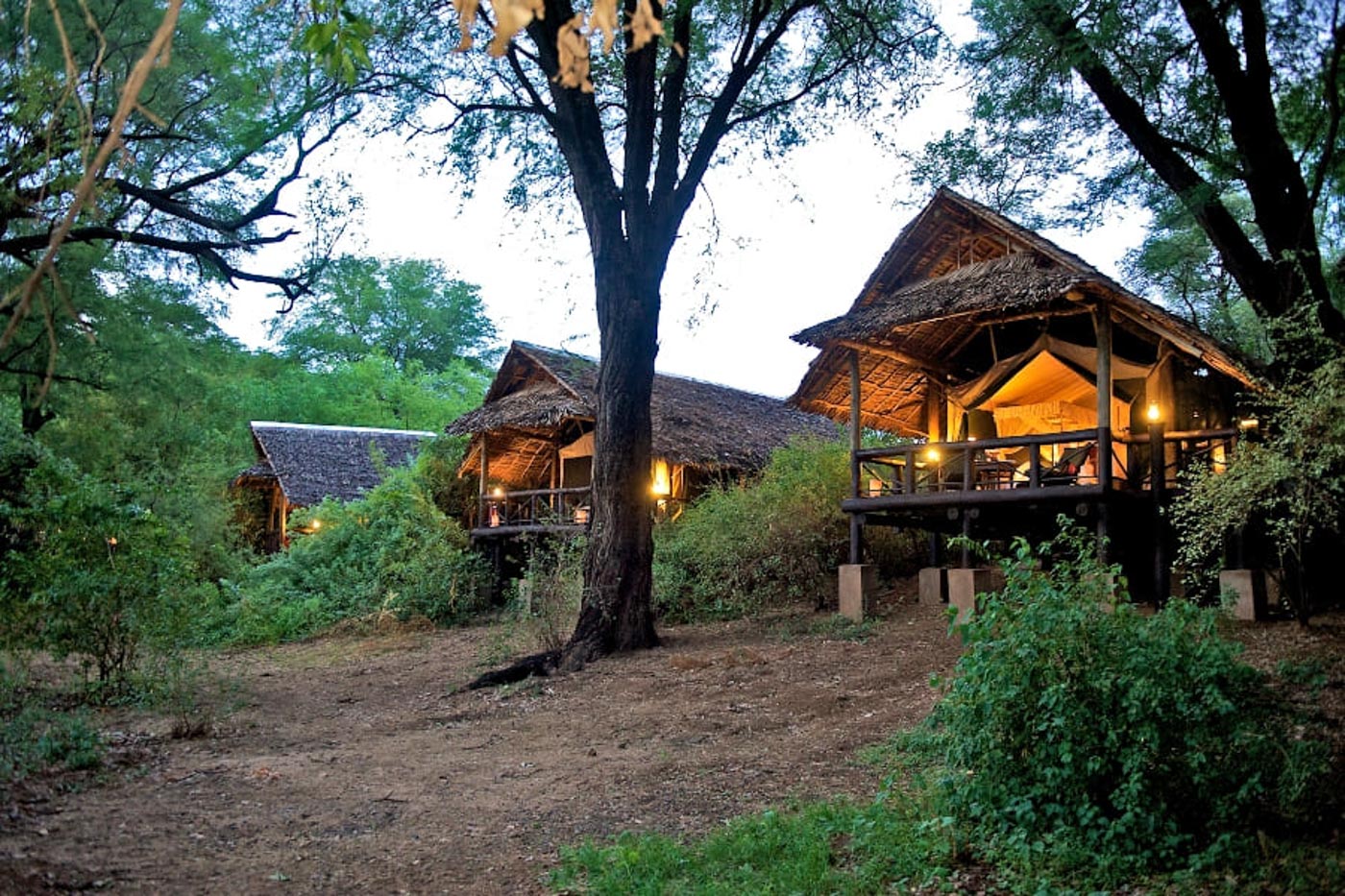 Samburu Intrepids