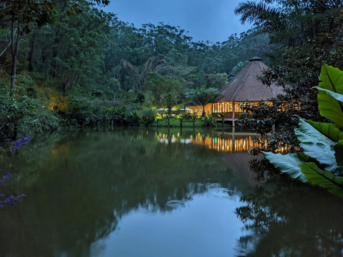 Vakona Forest Lodge
