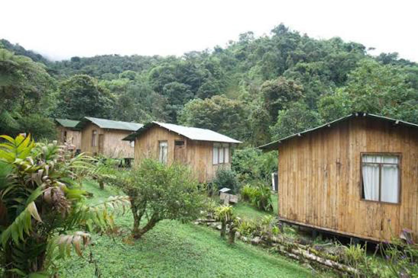 Cock-of-the-Rock Lodge