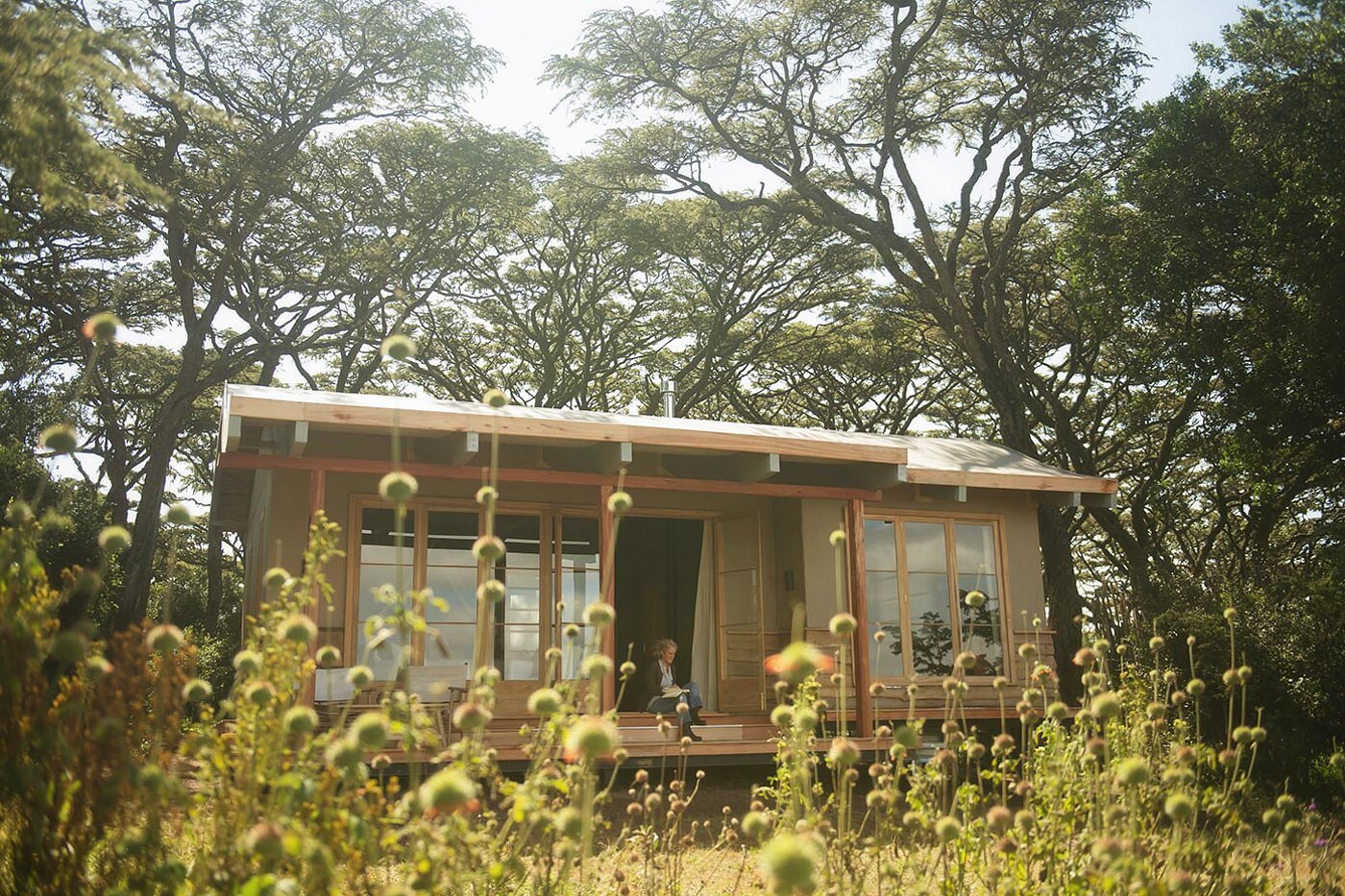 Entamanu Ngorongoro