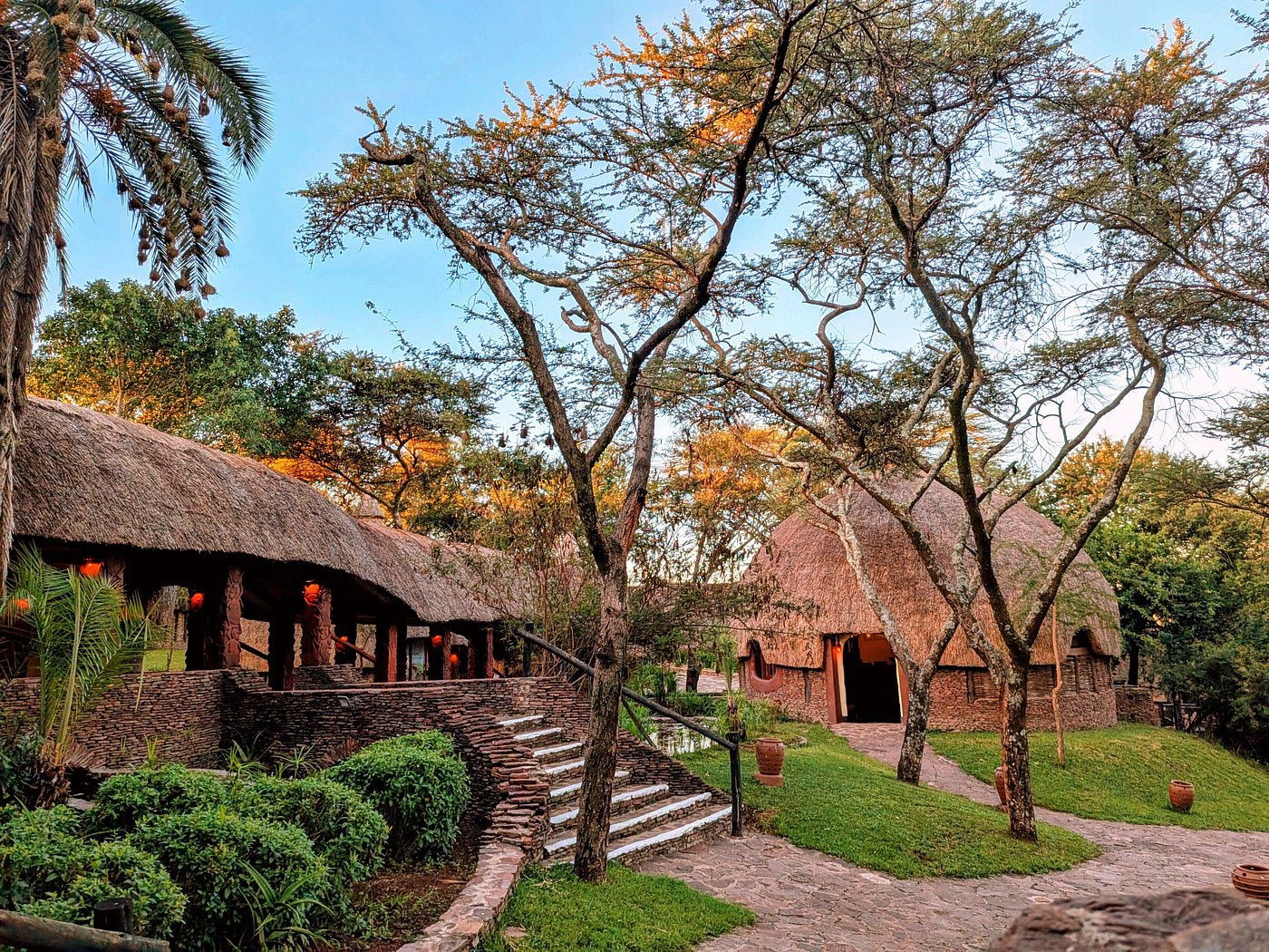 Serengeti Serena